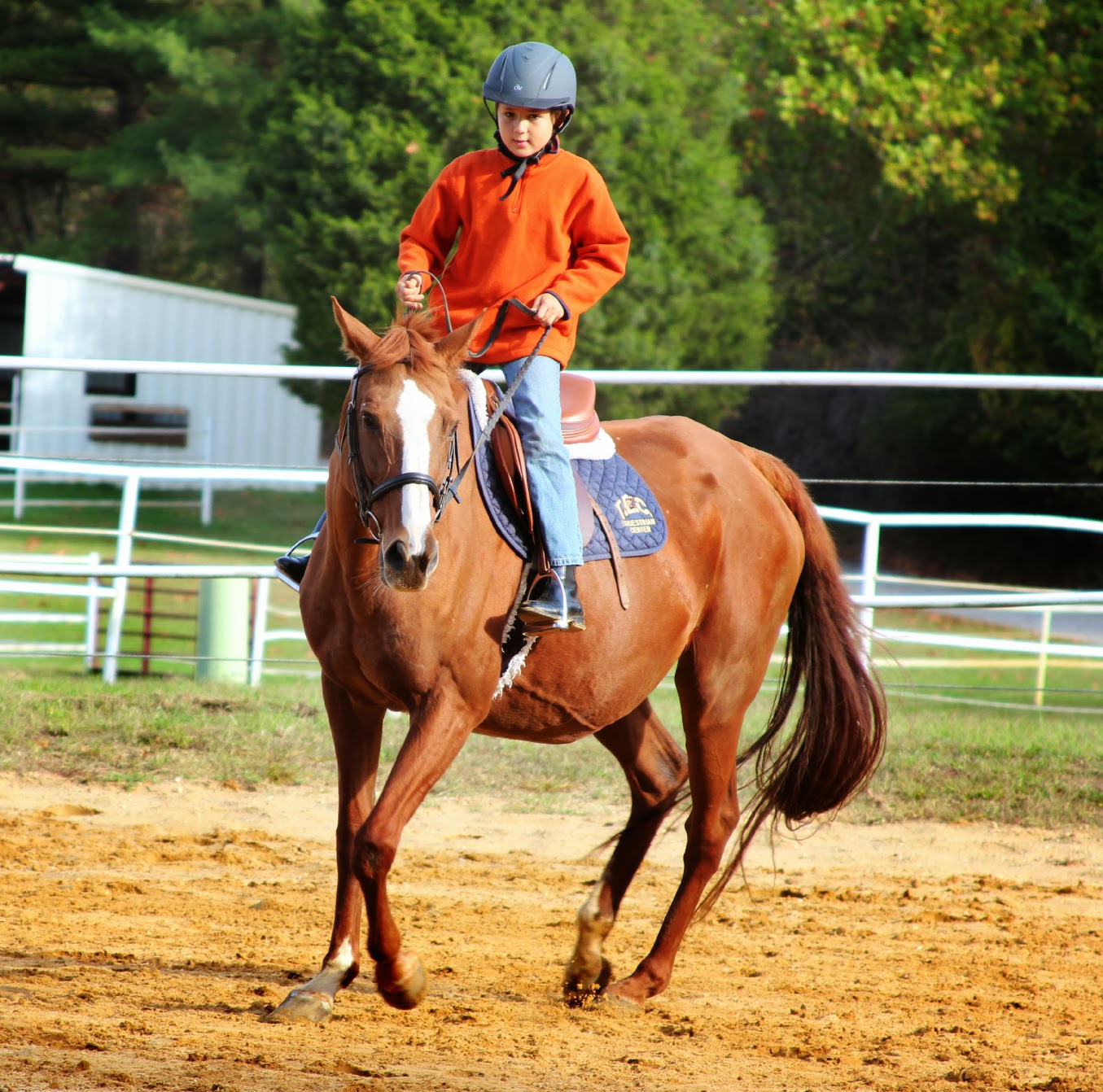 Horse Club